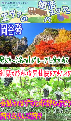 長野市・松本市・上田市2017年11月12日(日) AM9:00